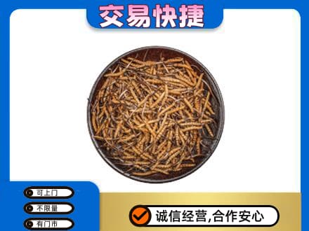 黔东南州榕江礼品回收虫草.jpg